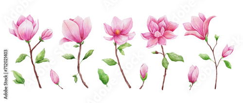 Watercolor magnolia and leaves isolated on white background. Hand drawn pink flower for greeting cards, invitations. Botanical hand painted illustrations set