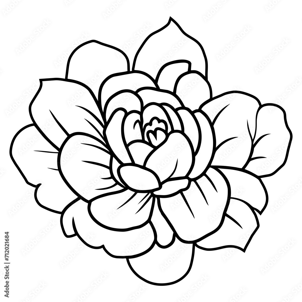 Hand drawn simple flower illustration Hand drawn simple flower illustration