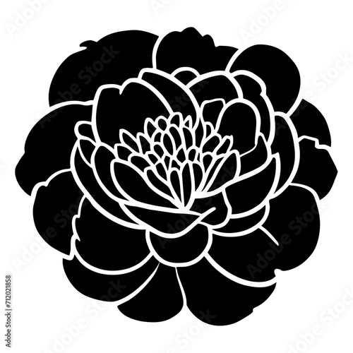 Hand drawn simple flower illustration