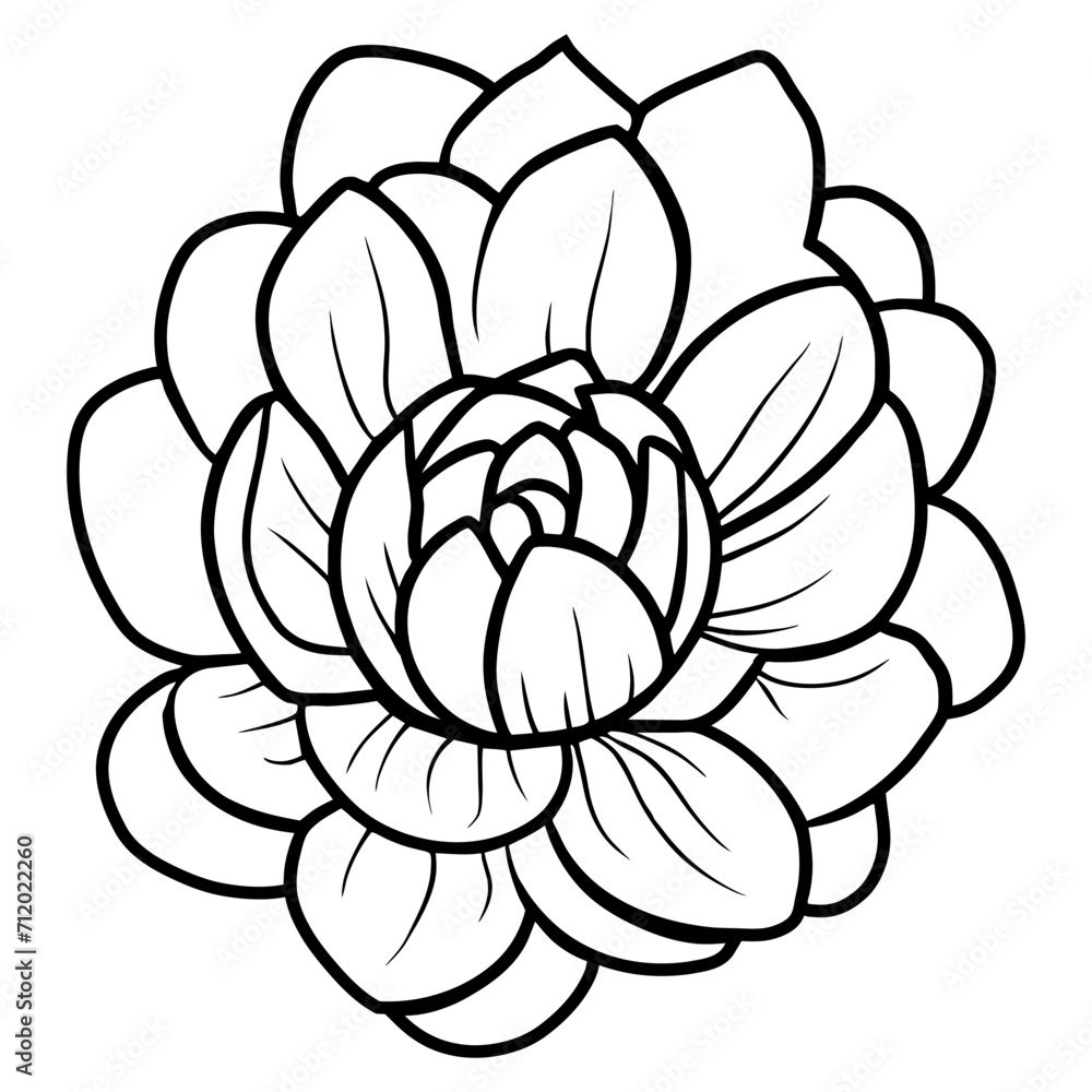 Hand drawn simple flower illustration Hand drawn simple flower illustration