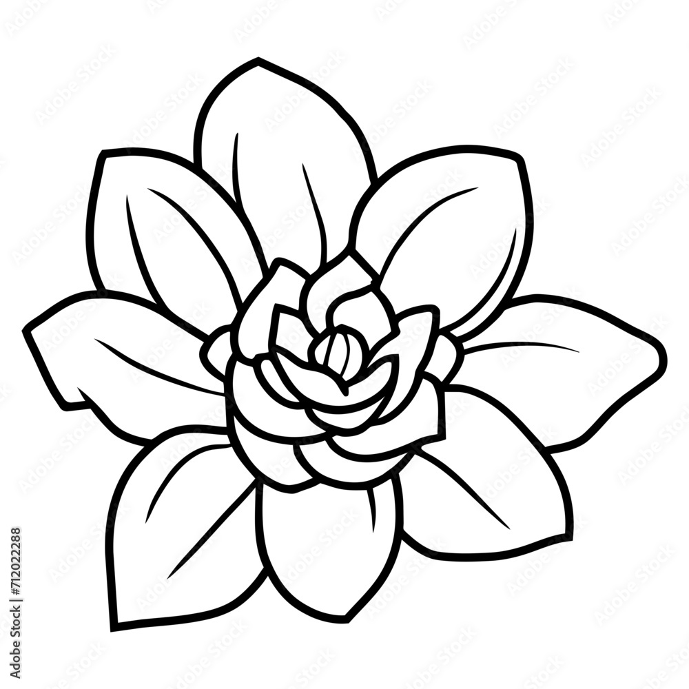 Hand drawn simple flower illustration Hand drawn simple flower illustration