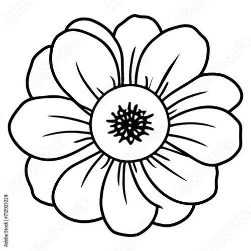 Hand drawn simple flower illustration