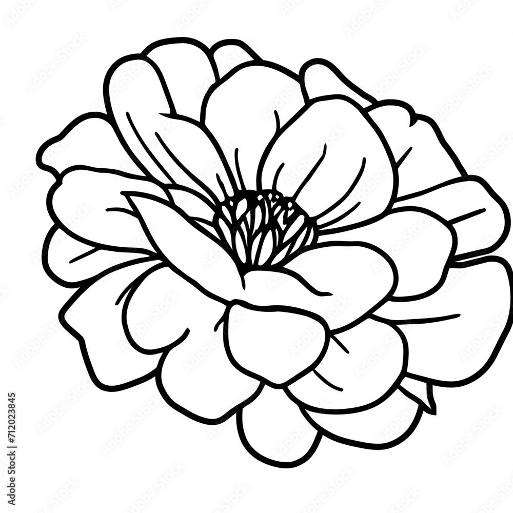 Hand drawn simple flower illustration Hand drawn simple flower illustration