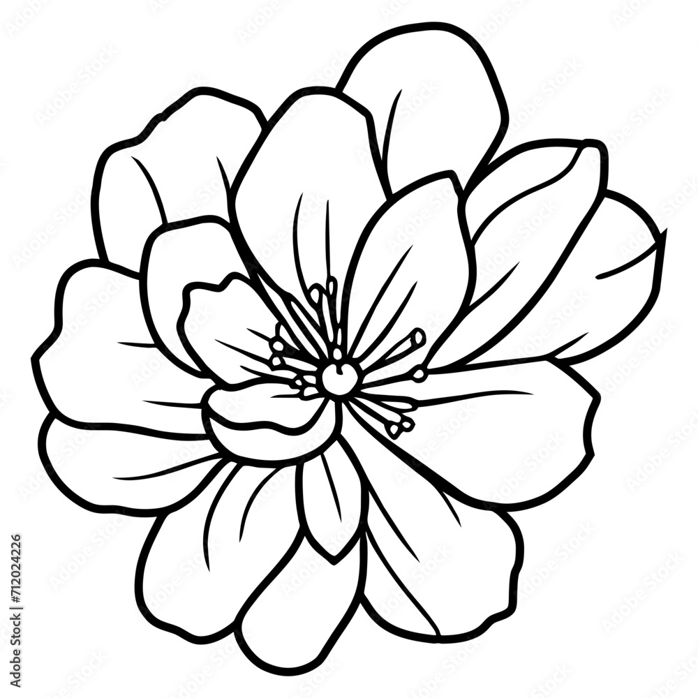 Hand drawn simple flower illustration Hand drawn simple flower illustration