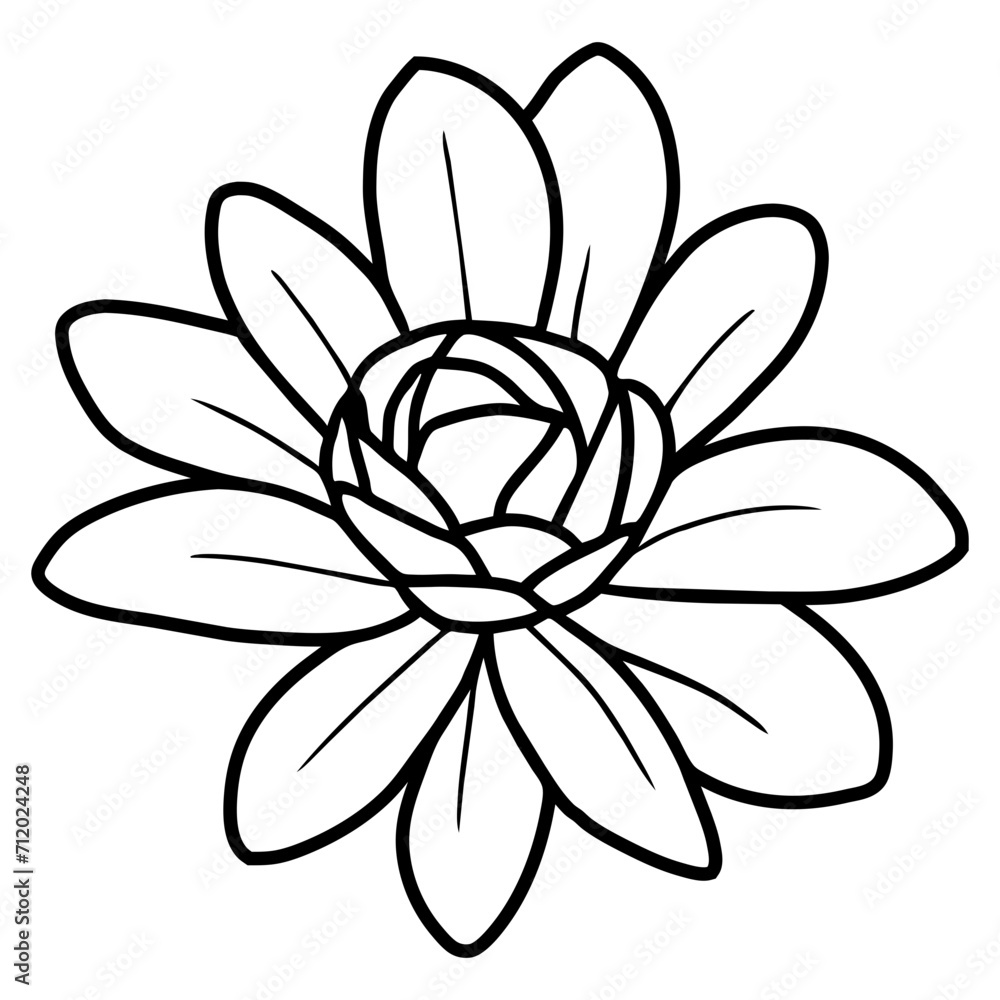 Hand drawn simple flower illustration Hand drawn simple flower illustration