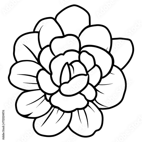 Hand drawn simple flower illustration