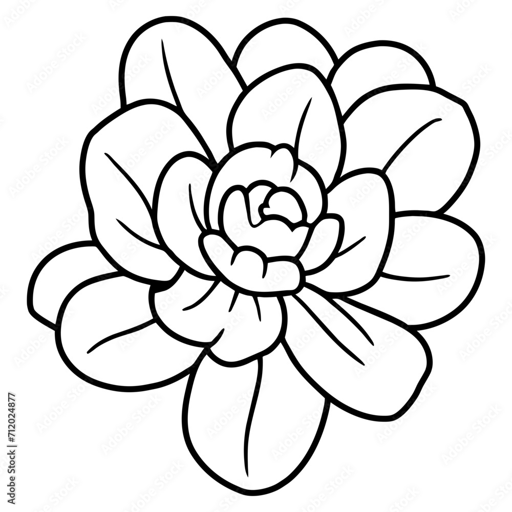 Hand drawn simple flower illustration Hand drawn simple flower illustration