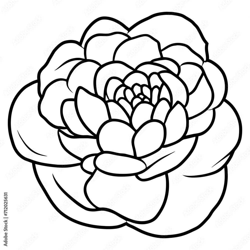 Hand drawn simple flower illustration Hand drawn simple flower illustration