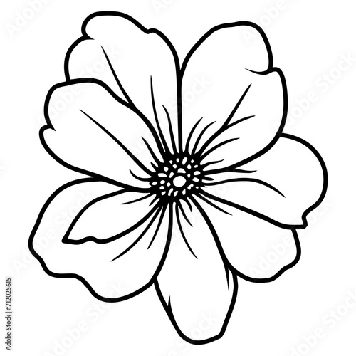 Hand drawn simple flower illustration