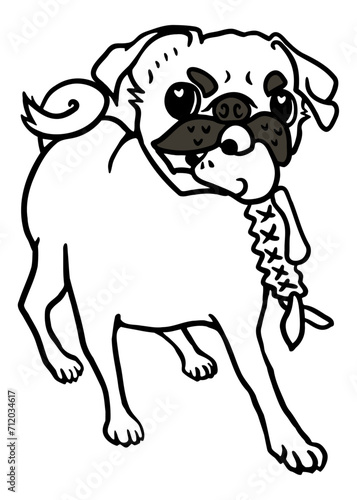 Black pug with a frog toy in its mouth, Line drawing illustration, Vector