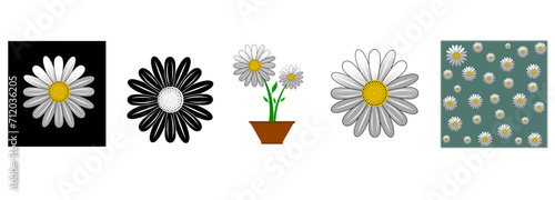 White camomile flower. Daisy chamomile set. Cute flower plant. Love card. Growing concept. Flat design. White background.