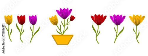 Tulips flower set  tulips flowers. Spring plants. Pink  burgundy  green. For design of postcards  patterns  etc.  notebooks.