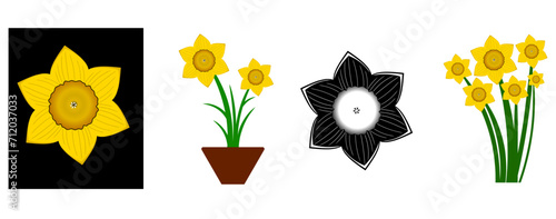 set of positive floral illustrations isolated on white background. Early spring garden flowers. Yellow daffodils bouquet. Clip art for bright festive greeting card, poster, banner. Womens Day
