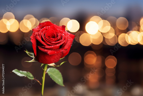 Elevate Your Design with the Beauty of Nature Red Rose Bokeh Background, Ideal for Romantic and Festive Settings