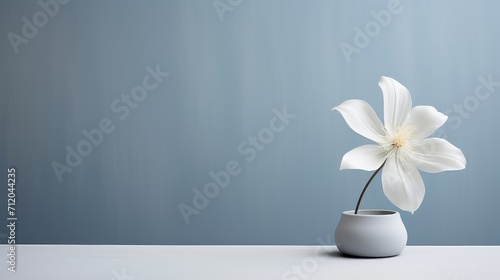 subtle soft grey background illustration calm serene, muted gentle, soothing delicate subtle soft grey background
