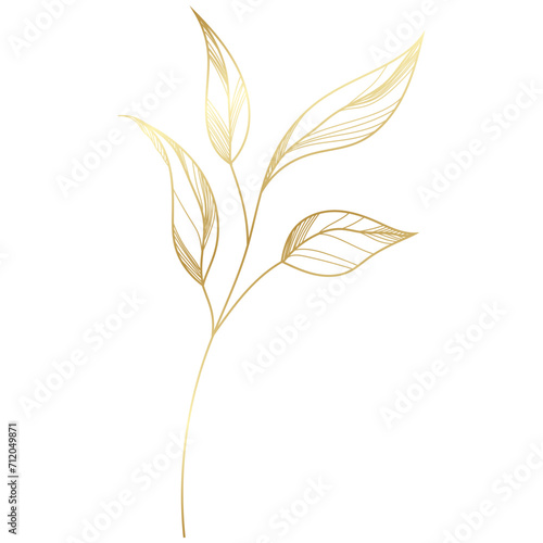 hand drawn golden leaf branch