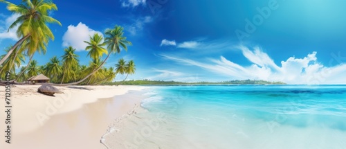 Beautiful sand and coco palms tropical beach wide panorama background