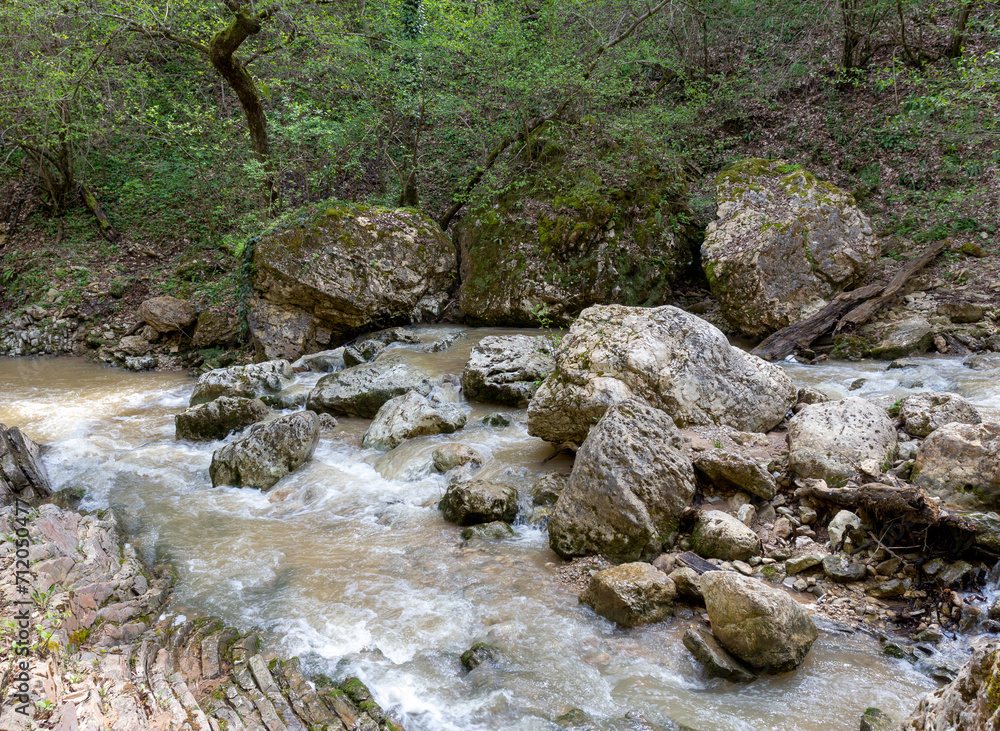 Morning on a mountain river, the unhurried flow of a stream among a stone bed.