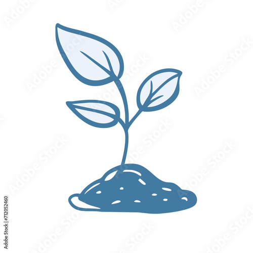 seedlings
