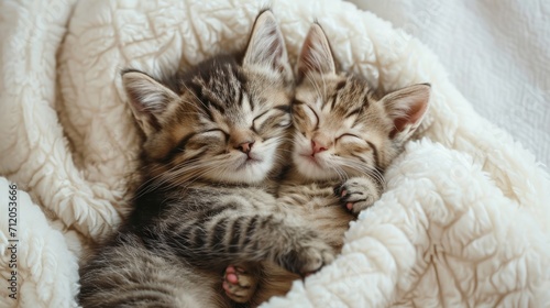 Lovely cat couple sleep together hug on white fluffy bed. Valentine's Day celebration concept.