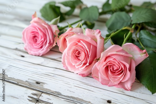 Elegant Bloom  Beautiful Pink Roses on White Wooden Background  Floral Serenity  Timeless Elegance 
