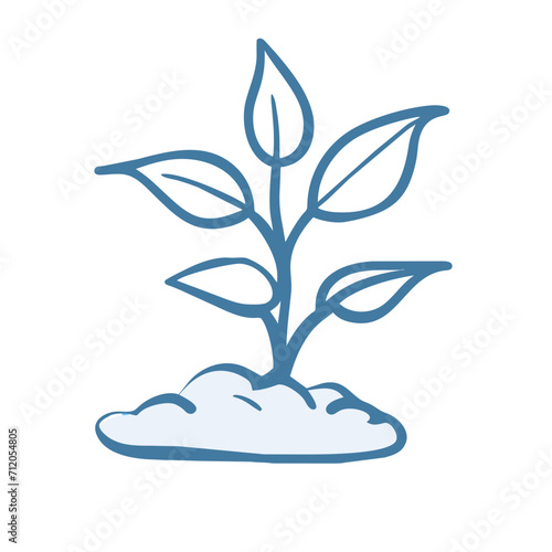 seedlings
