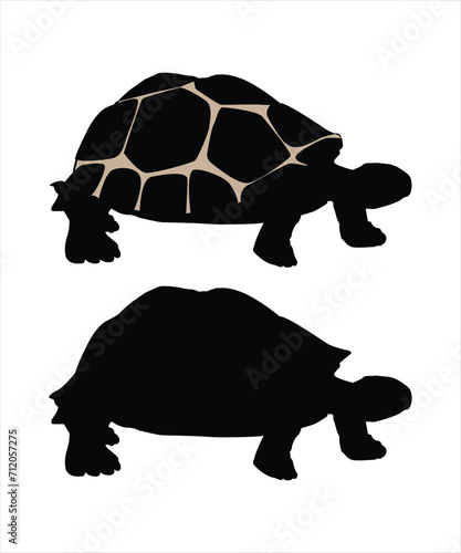 sea turtle black silhouettes vector illustration photo