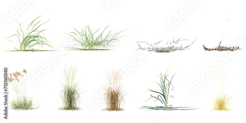 set of Common eel grass,Natural Brown Pavonia, Dry Grassand bush with alpha mask, 3d rendering, for digital composition 