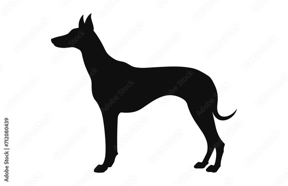Greyhound Dog vector black Silhouette isolated on a white background