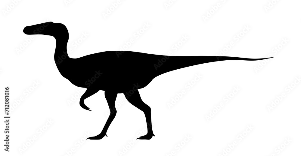 Fototapeta premium silhouette of a dinosaur on a white background