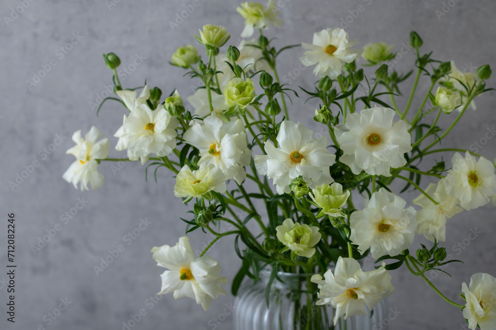 花瓶に生けたラナンキュラスラックス 花瓶に生けたラナンキュラスラックス
