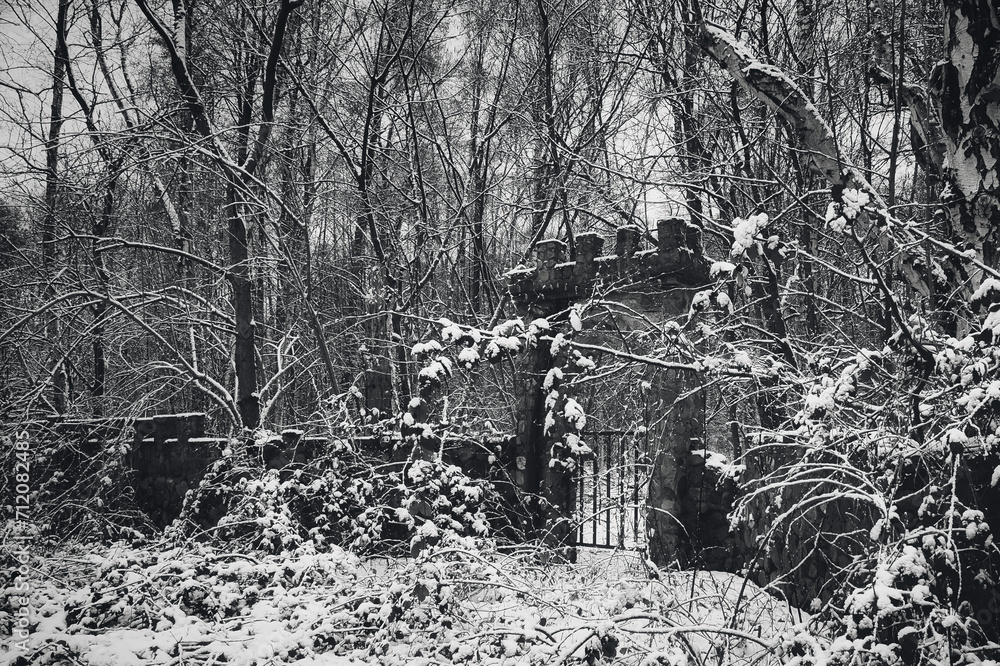 Snow covered Branches - Gate - Door - Entrance - Entry - Winter - Cold - Background - Mood - Nature - Lost Place - Urbex - Hidden - Decay - Urbex / Urbexing - Lost Place 