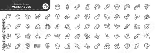 Set of line icons in linear style. Set - Vegetables and veggies. Natural fresh vegetables and root vegetables. Vegetarian food. Outline icon collection. Pictogram and infographic. Editable stroke. 
