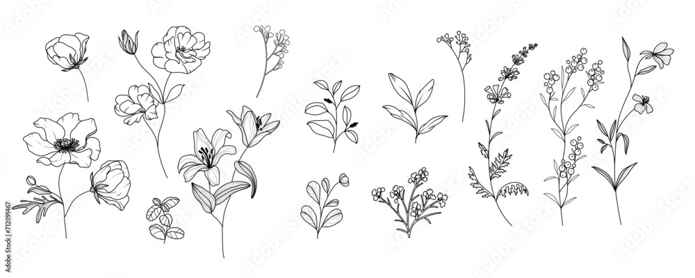 minimal line flower and botanical graphic sketch drawing, trendy tiny tattoo design, floral elements vector illustration - obrazy, fototapety, plakaty 