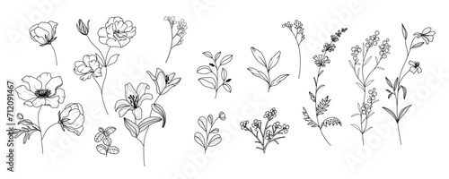 minimal line flower and botanical graphic sketch drawing, trendy tiny tattoo design, floral elements vector illustration photo