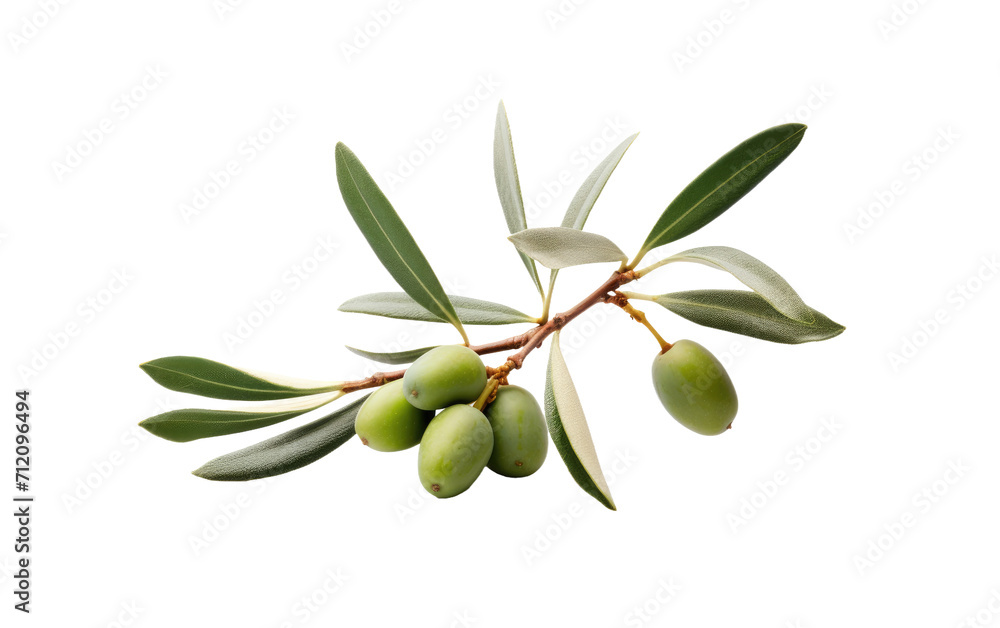 Adorn Your Table with the Beauty of Olives on White or PNG Transparent Background Adorn Your Table with the Beauty of Olives on White or PNG Transparent Background