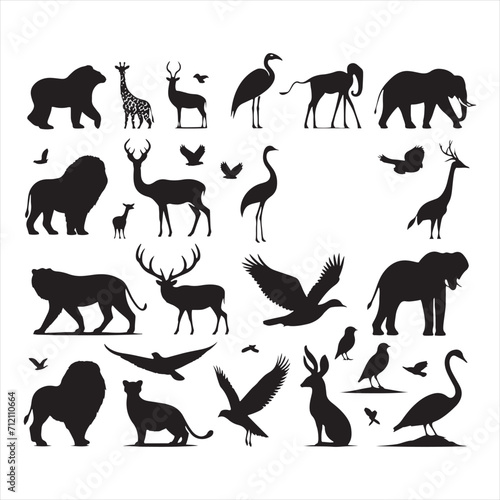 Evocative Shadows  Silhouettes of Wild Animals in a Stunning Collection - Wildlife Silhouette - Animals Vector 