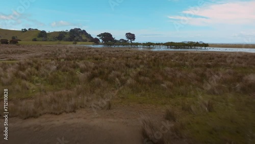 Aerial: marshland and coastline with pohutukawa trees in the Coromandel Peninsula, New Zealand. photo