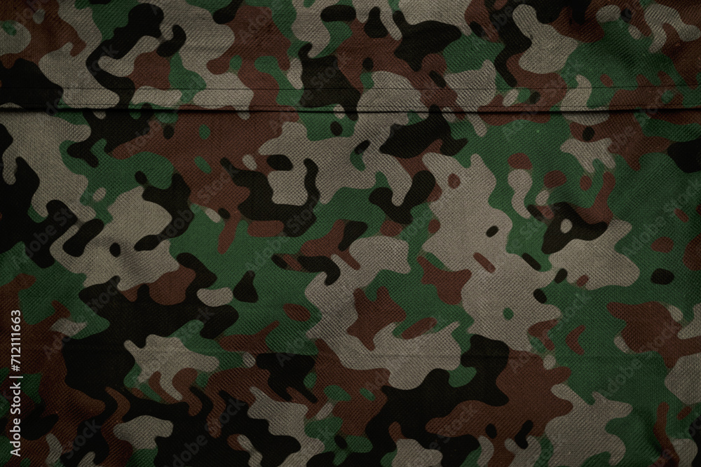 Fototapeta premium african jungle camouflage tarp texture