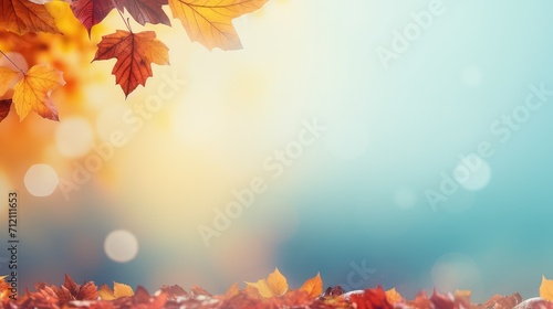 fall template autumn background illustration seasonal nature  colors orange  brown yellow fall template autumn background