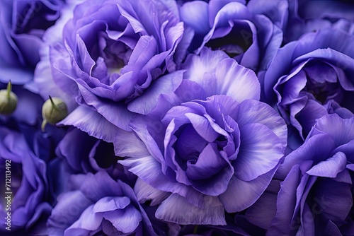 Vivid close up photo of violet eustoma flowers photo