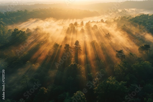Aerial view of a sunrise illuminating a misty forest, with rays of light piercing through the trees