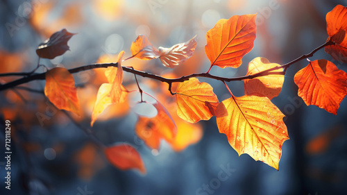 Photo Realistic Sunlit Autumn Leaves A realistic