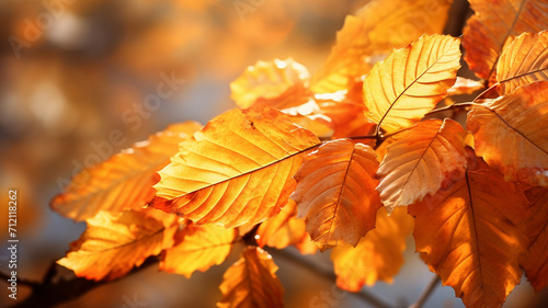 Photo Realistic Sunlit Autumn Leaves A realistic bright