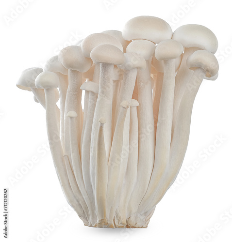 Shimeji mushrooms isolated on white background