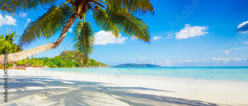 Vacation summer holidays background wallpaper - sunny tropical Caribbean paradise beach with white sand in Seychelles Praslin island Thailand style with palms © Vasily Makarov