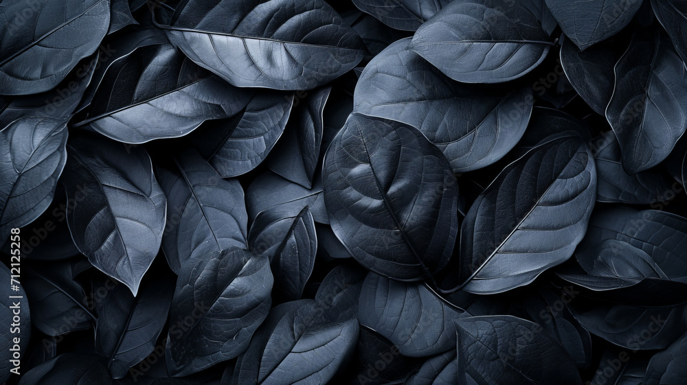 Textures of abstract black leaves for tropical leaf background. Flat lay, dark nature concept, tropical leaf,generative ai Textures of abstract black leaves for tropical leaf background. Flat lay, dark nature concept, tropical leaf,generative ai