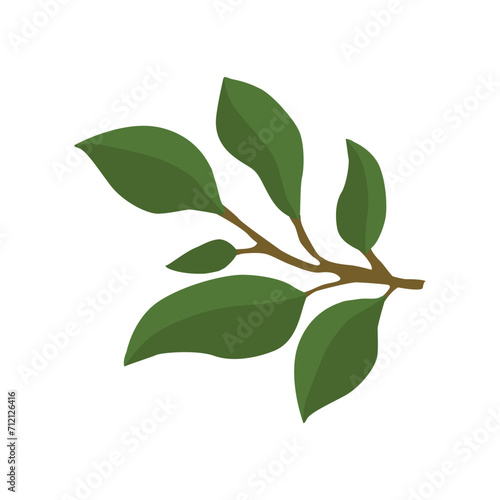 A sprig of lemon in a flat style. Vector illustration highlighted on a white background. © Aksana