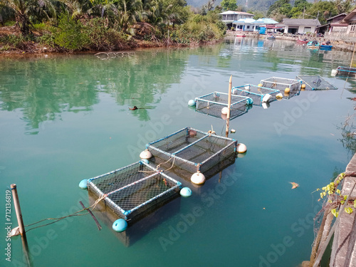 local grouper fish farming in Asia