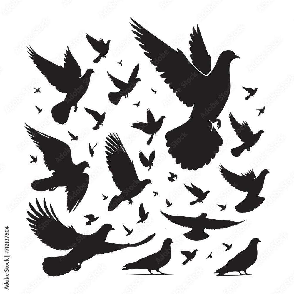 Obraz premium Whispering Plumage: Bird Beauty Silhouette Series Conveying the Softness of Pigeon Feathers - Pigeon Silhouette 